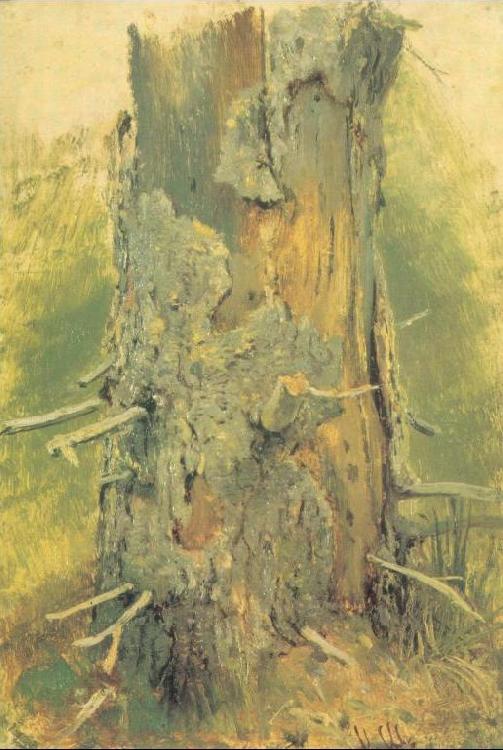 Ivan Shishkin Bark on Dried Up Tree oil painting image